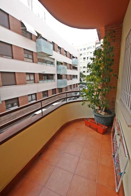 Sevilla Clasica: Amigos Y Familia. Parking Gratis! Ngoại thất bức ảnh